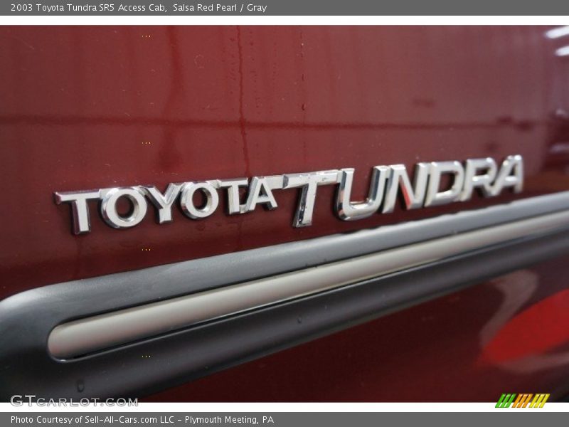 Salsa Red Pearl / Gray 2003 Toyota Tundra SR5 Access Cab
