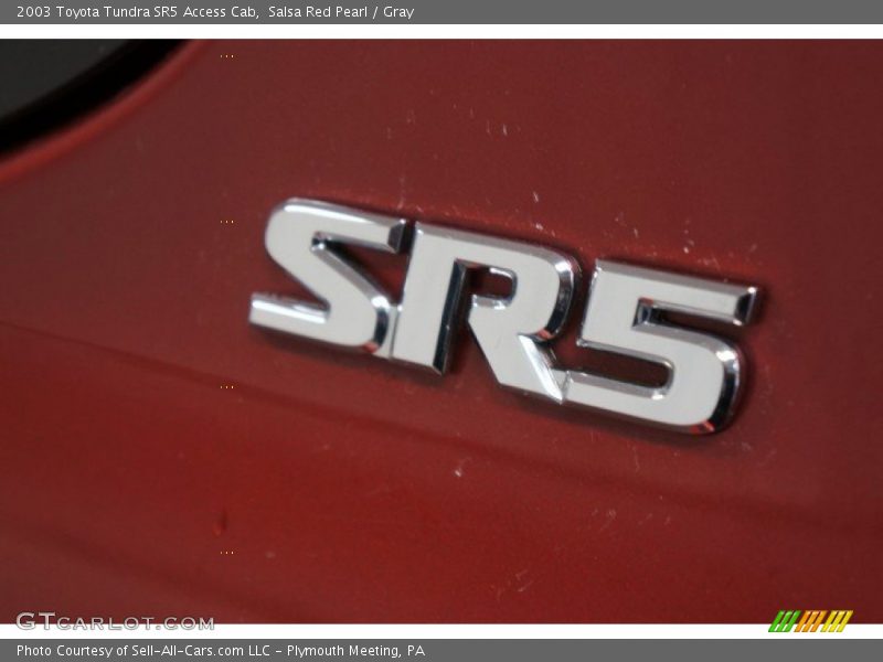 Salsa Red Pearl / Gray 2003 Toyota Tundra SR5 Access Cab