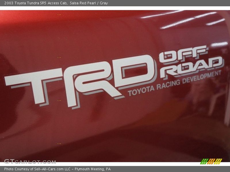 Salsa Red Pearl / Gray 2003 Toyota Tundra SR5 Access Cab