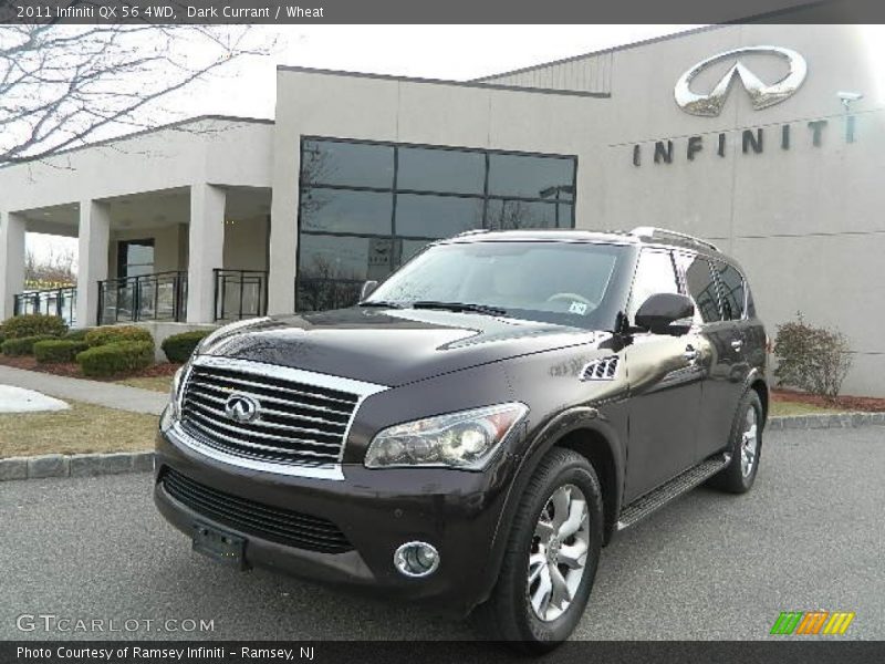 Dark Currant / Wheat 2011 Infiniti QX 56 4WD