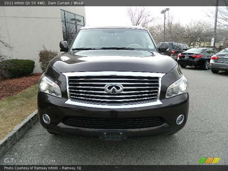 Dark Currant / Wheat 2011 Infiniti QX 56 4WD