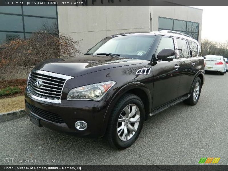 Dark Currant / Wheat 2011 Infiniti QX 56 4WD