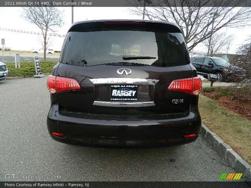 Dark Currant / Wheat 2011 Infiniti QX 56 4WD