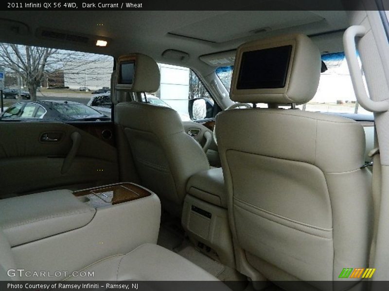 Dark Currant / Wheat 2011 Infiniti QX 56 4WD