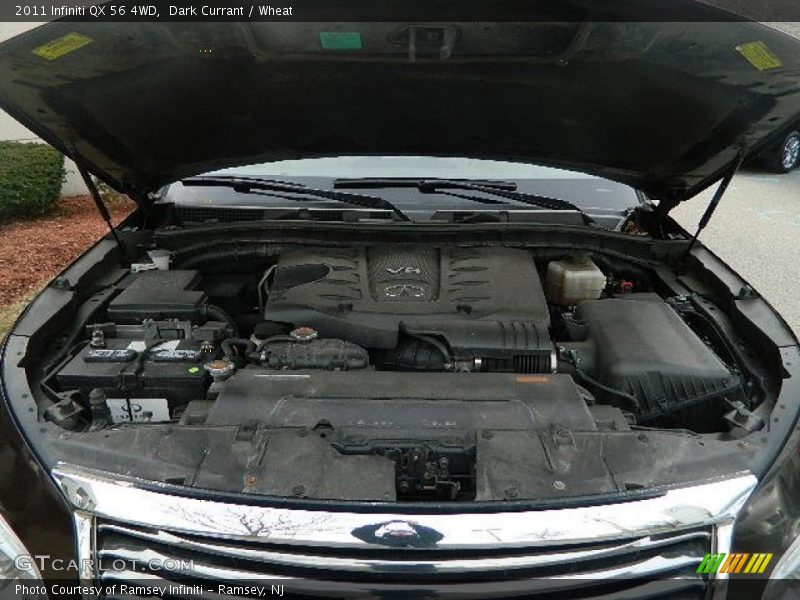 Dark Currant / Wheat 2011 Infiniti QX 56 4WD