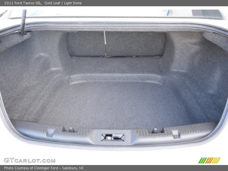 Gold Leaf / Light Stone 2011 Ford Taurus SEL