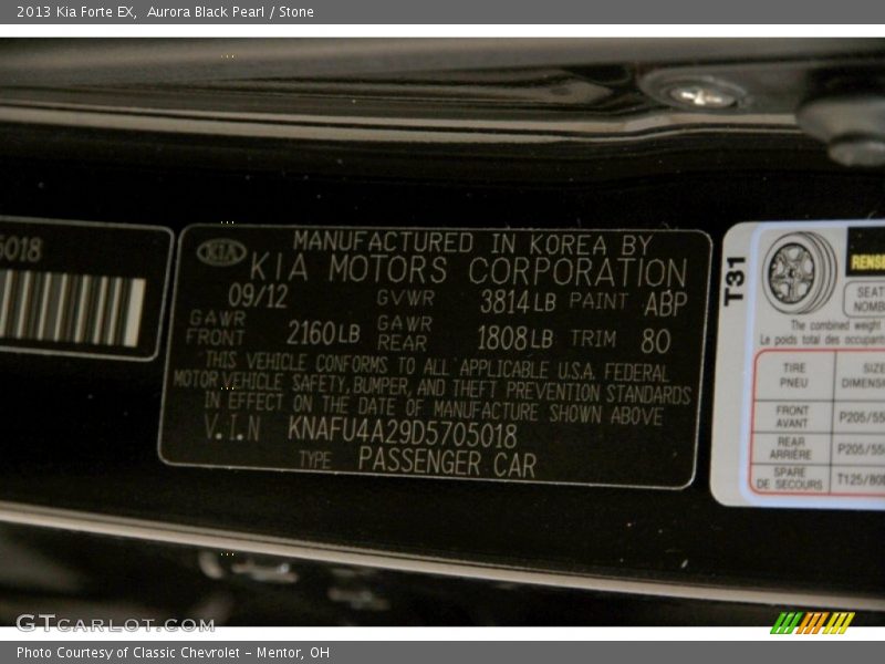 Aurora Black Pearl / Stone 2013 Kia Forte EX