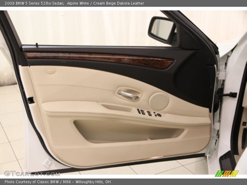 Door Panel of 2009 5 Series 528xi Sedan