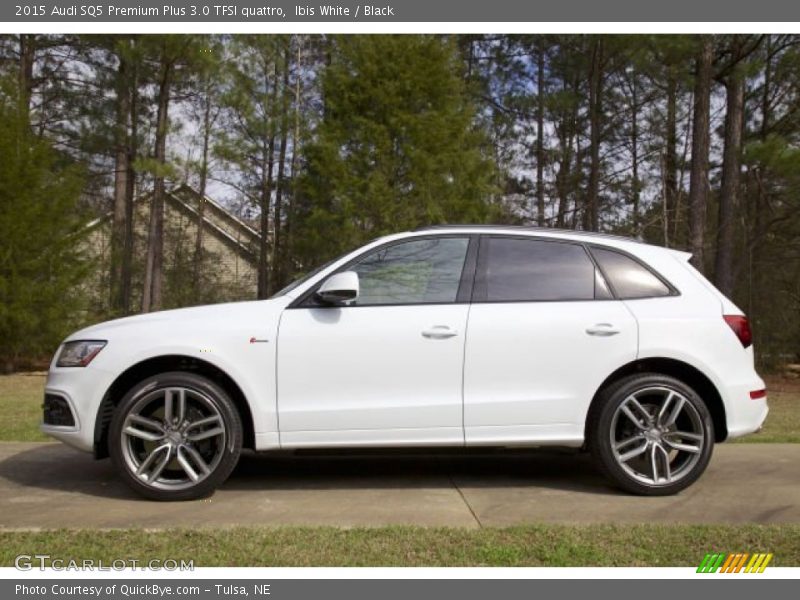  2015 SQ5 Premium Plus 3.0 TFSI quattro Ibis White