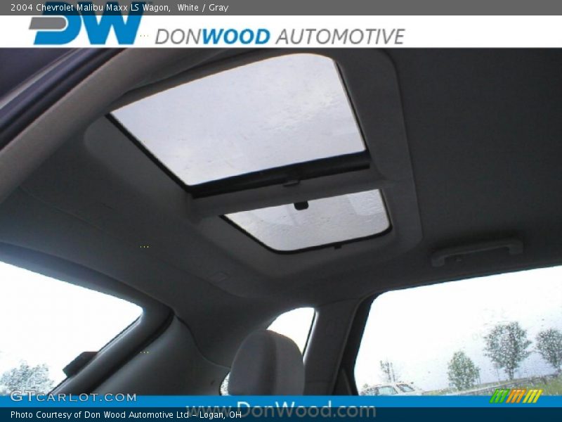 White / Gray 2004 Chevrolet Malibu Maxx LS Wagon