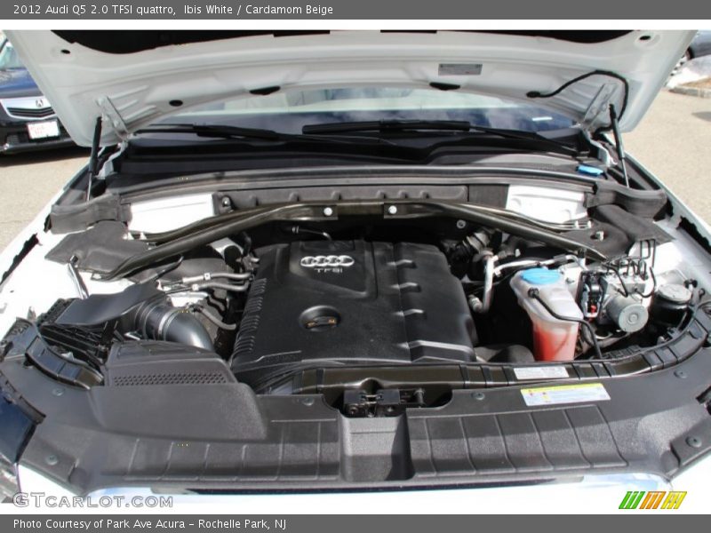 Ibis White / Cardamom Beige 2012 Audi Q5 2.0 TFSI quattro