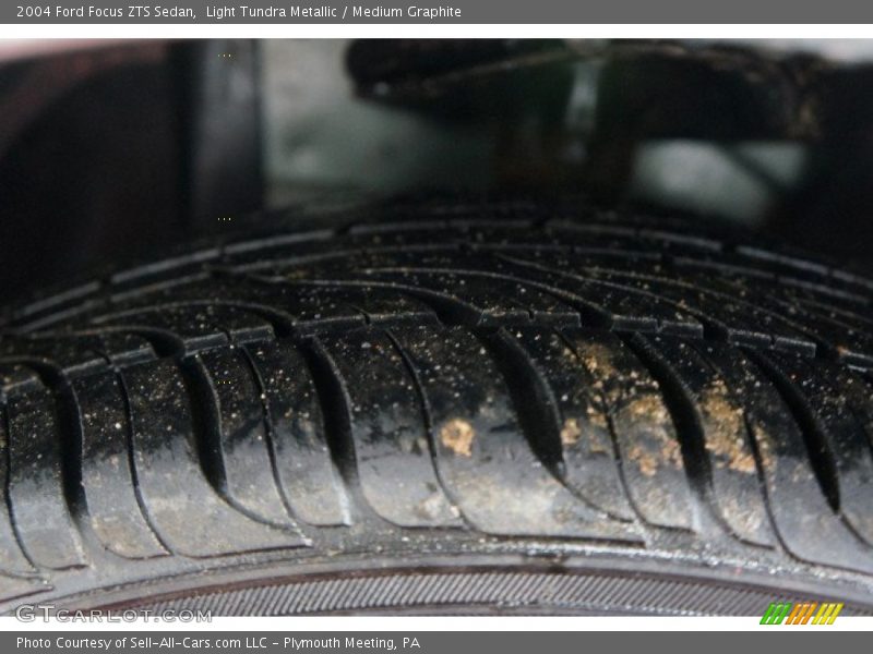 Light Tundra Metallic / Medium Graphite 2004 Ford Focus ZTS Sedan