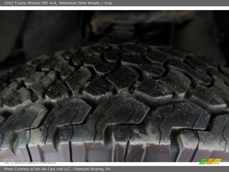 Millennium Silver Metallic / Gray 2002 Toyota 4Runner SR5 4x4
