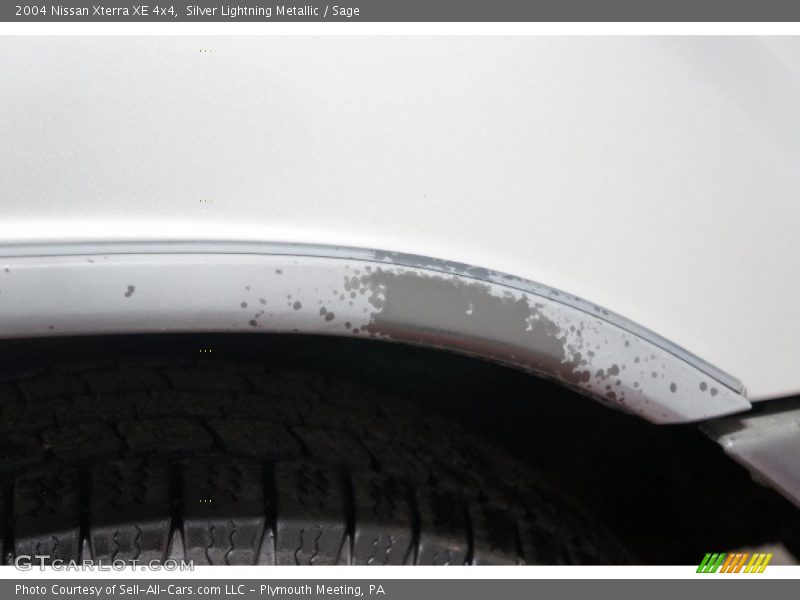 Silver Lightning Metallic / Sage 2004 Nissan Xterra XE 4x4