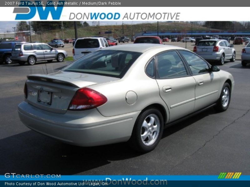 Gold Ash Metallic / Medium/Dark Pebble 2007 Ford Taurus SE