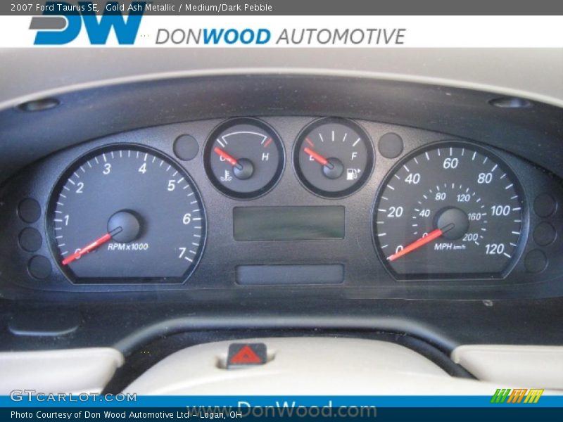Gold Ash Metallic / Medium/Dark Pebble 2007 Ford Taurus SE