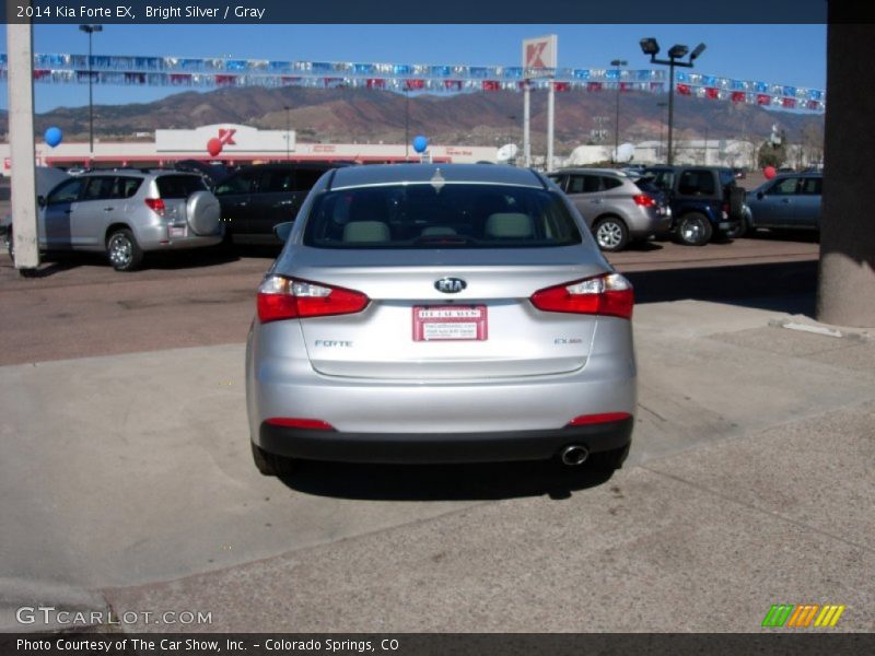 Bright Silver / Gray 2014 Kia Forte EX