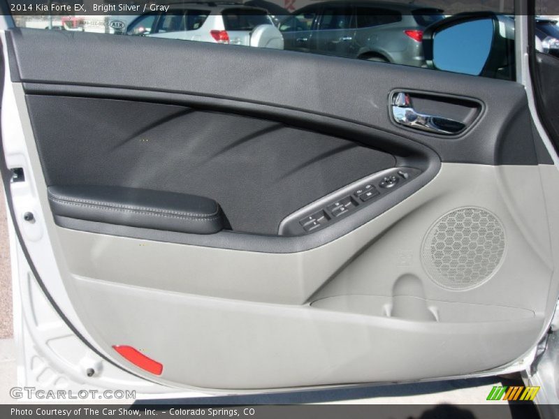 Bright Silver / Gray 2014 Kia Forte EX