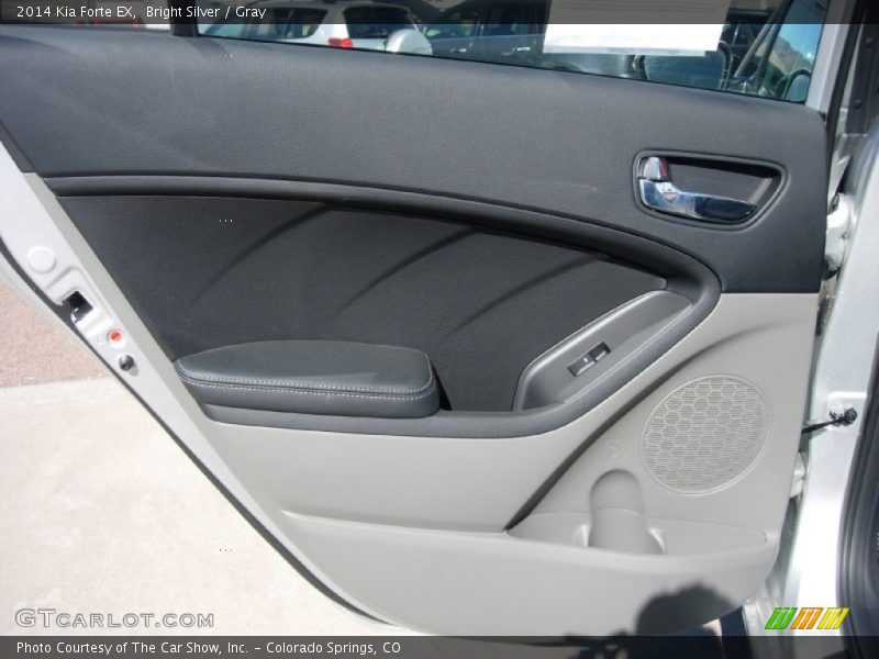 Bright Silver / Gray 2014 Kia Forte EX