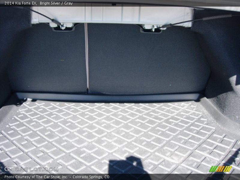 Bright Silver / Gray 2014 Kia Forte EX