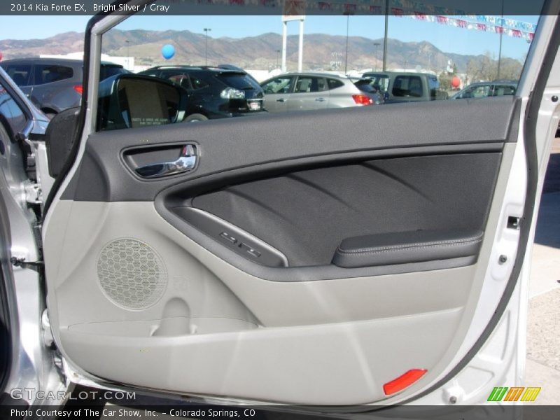 Bright Silver / Gray 2014 Kia Forte EX