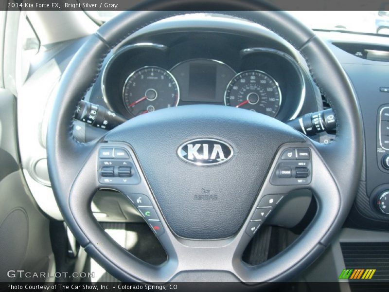 Bright Silver / Gray 2014 Kia Forte EX
