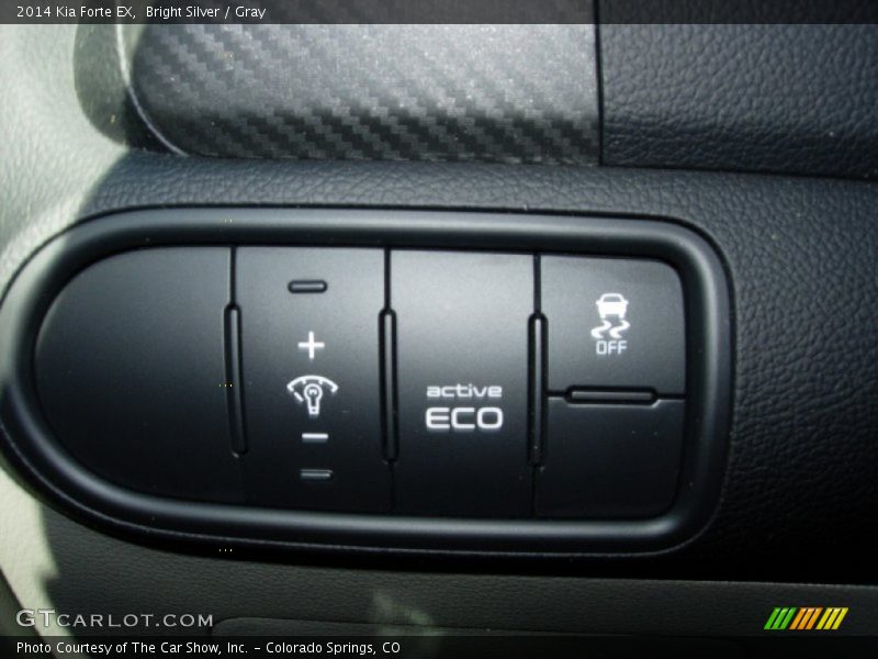 Bright Silver / Gray 2014 Kia Forte EX