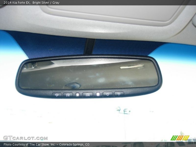 Bright Silver / Gray 2014 Kia Forte EX