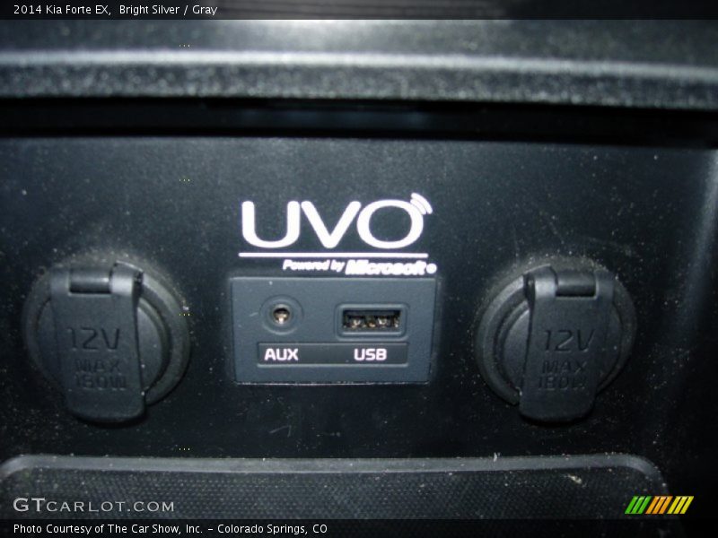 Bright Silver / Gray 2014 Kia Forte EX