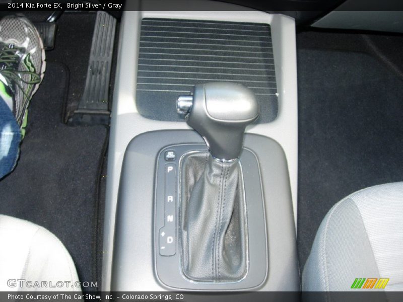 Bright Silver / Gray 2014 Kia Forte EX