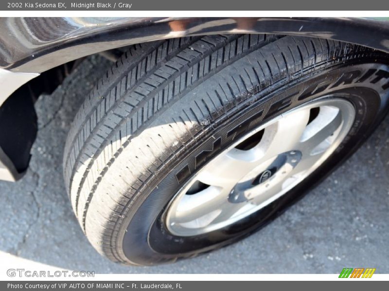 Midnight Black / Gray 2002 Kia Sedona EX