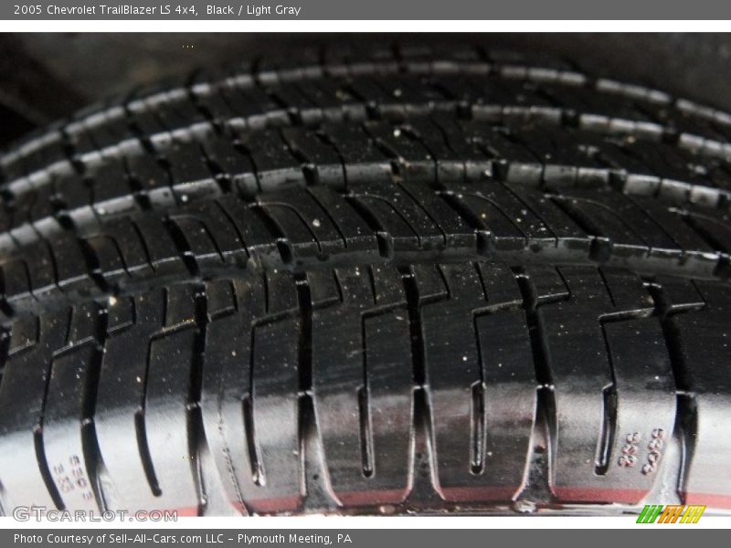 Black / Light Gray 2005 Chevrolet TrailBlazer LS 4x4