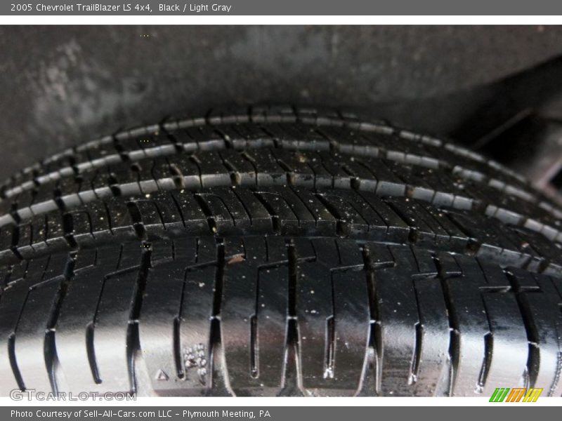 Black / Light Gray 2005 Chevrolet TrailBlazer LS 4x4