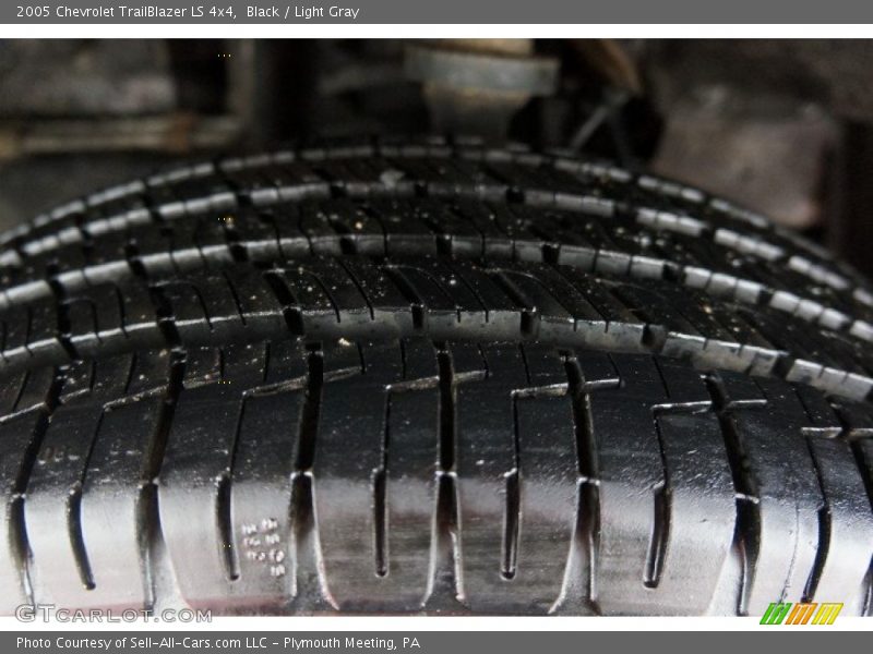 Black / Light Gray 2005 Chevrolet TrailBlazer LS 4x4