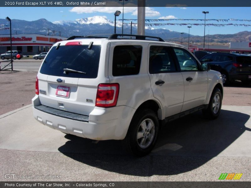 Oxford White / Camel 2010 Ford Escape XLT V6 4WD