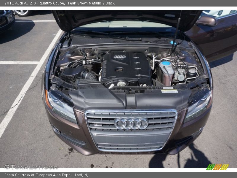 Teak Brown Metallic / Black 2011 Audi A5 2.0T quattro Coupe