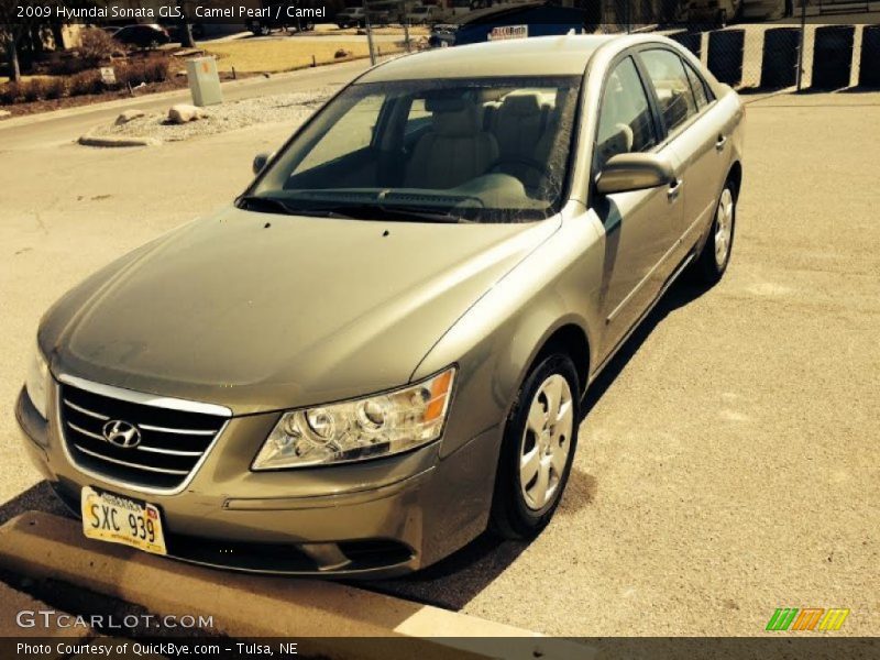 Camel Pearl / Camel 2009 Hyundai Sonata GLS