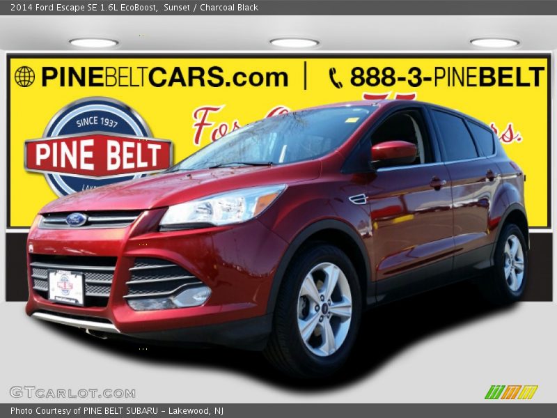 Sunset / Charcoal Black 2014 Ford Escape SE 1.6L EcoBoost