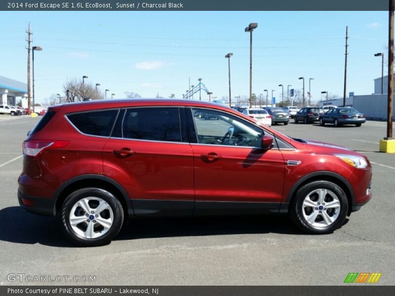 Sunset / Charcoal Black 2014 Ford Escape SE 1.6L EcoBoost