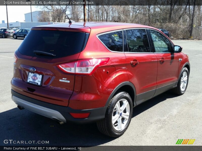 Sunset / Charcoal Black 2014 Ford Escape SE 1.6L EcoBoost