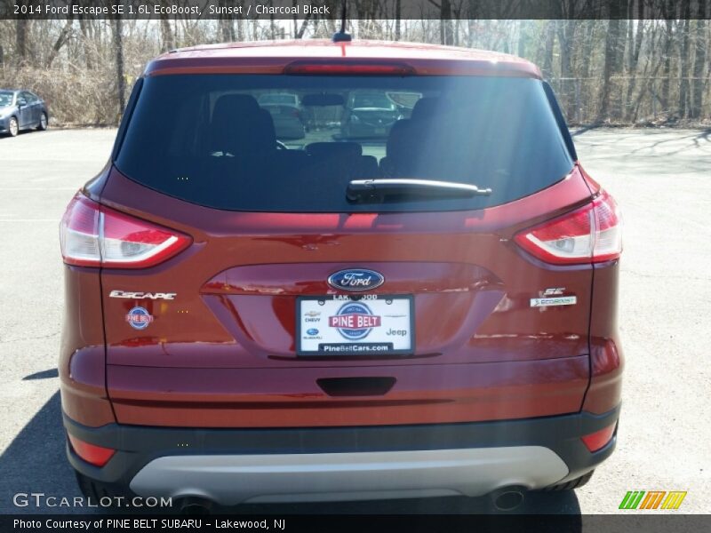 Sunset / Charcoal Black 2014 Ford Escape SE 1.6L EcoBoost