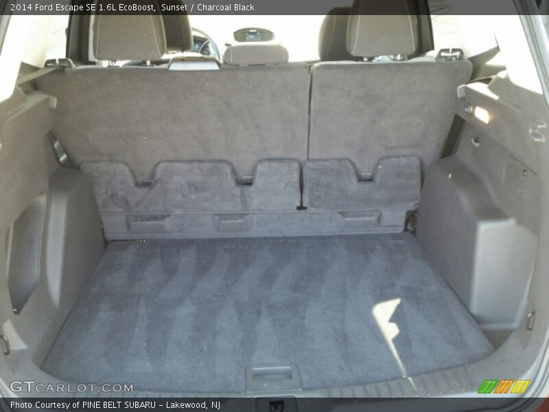 Sunset / Charcoal Black 2014 Ford Escape SE 1.6L EcoBoost