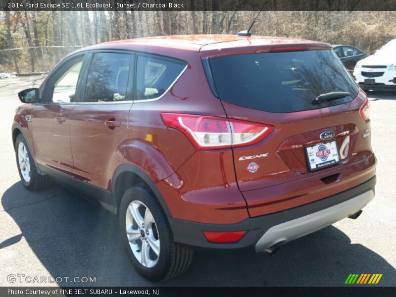 Sunset / Charcoal Black 2014 Ford Escape SE 1.6L EcoBoost