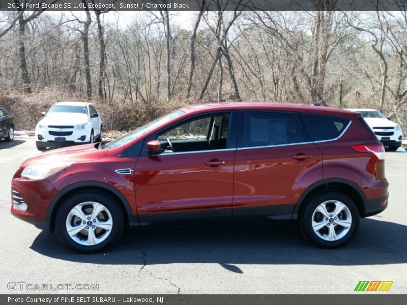 Sunset / Charcoal Black 2014 Ford Escape SE 1.6L EcoBoost