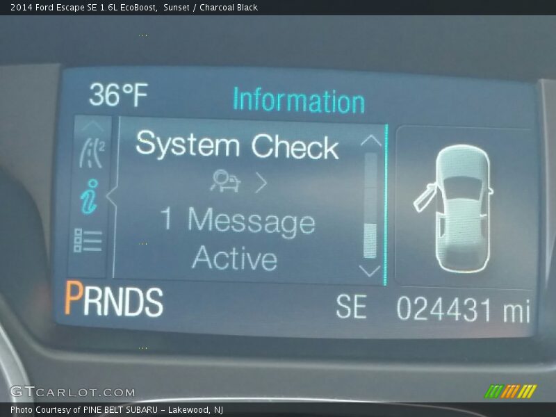 Sunset / Charcoal Black 2014 Ford Escape SE 1.6L EcoBoost