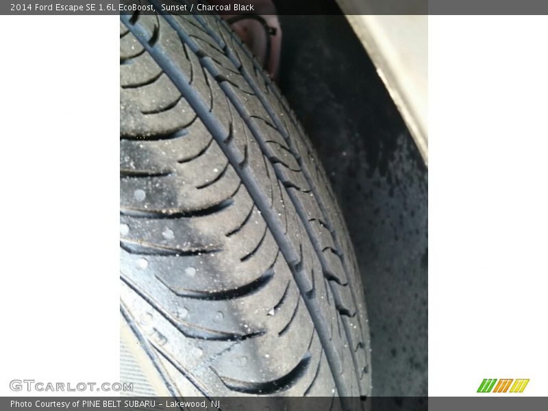 Sunset / Charcoal Black 2014 Ford Escape SE 1.6L EcoBoost