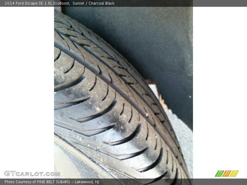 Sunset / Charcoal Black 2014 Ford Escape SE 1.6L EcoBoost