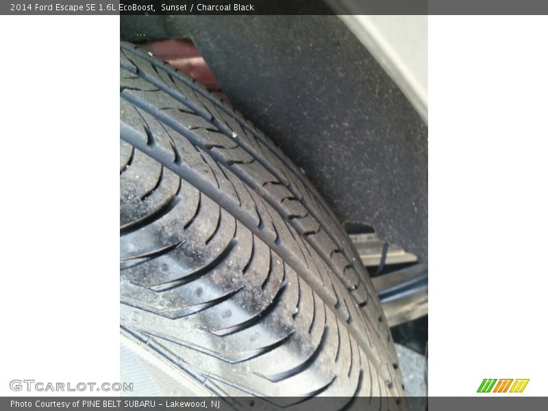 Sunset / Charcoal Black 2014 Ford Escape SE 1.6L EcoBoost