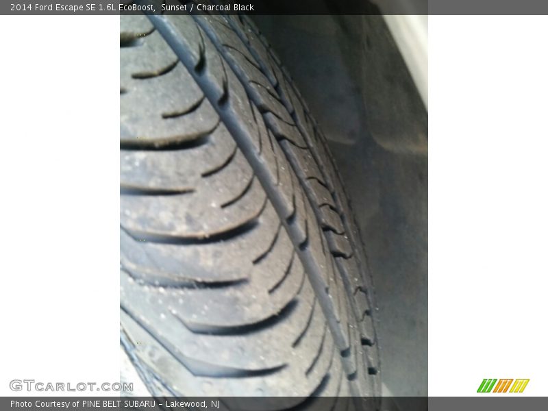 Sunset / Charcoal Black 2014 Ford Escape SE 1.6L EcoBoost