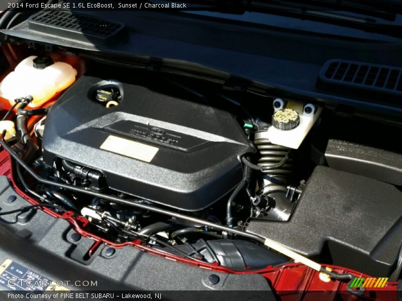 Sunset / Charcoal Black 2014 Ford Escape SE 1.6L EcoBoost